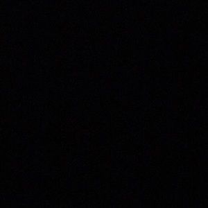 Meet your Posher, Tess